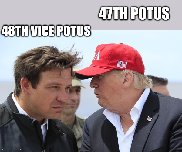 Trump and DeSantis | 47TH POTUS; 48TH VICE POTUS | image tagged in trump and desantis | made w/ Imgflip meme maker