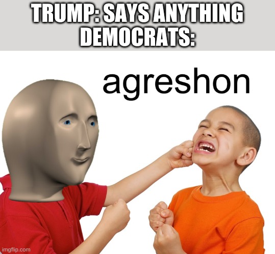  TRUMP: SAYS ANYTHING
DEMOCRATS: | image tagged in meme man aggression | made w/ Imgflip meme maker