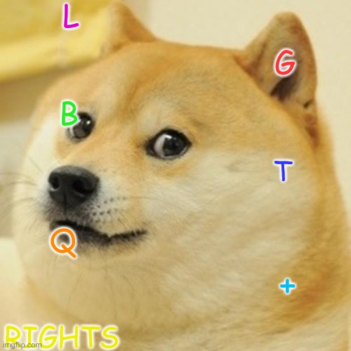 Doge Meme | L; G; B; T; Q; +; RIGHTS | image tagged in memes,doge | made w/ Imgflip meme maker