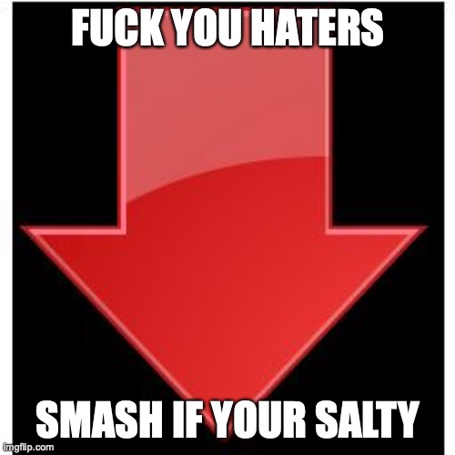 downvotes | FUCK YOU HATERS SMASH IF YOUR SALTY | image tagged in downvotes | made w/ Imgflip meme maker