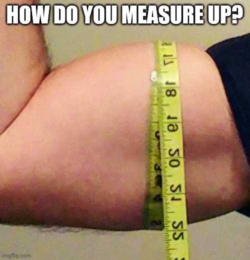 Muscle | HOW DO YOU MEASURE UP? | image tagged in biceps,muscle,flex,size matters | made w/ Imgflip meme maker