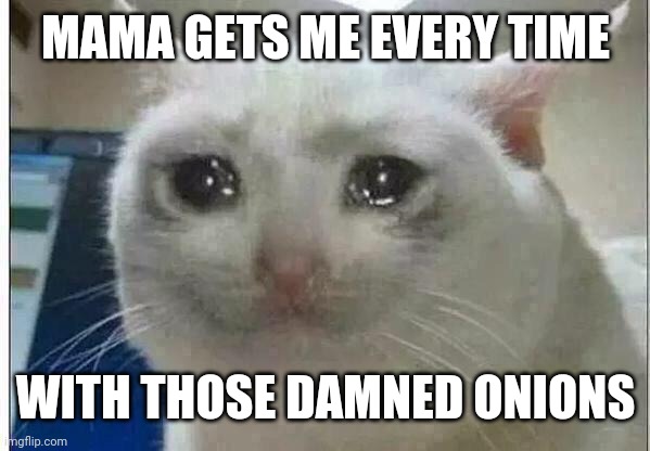 crying cat | MAMA GETS ME EVERY TIME; WITH THOSE DAMNED ONIONS | image tagged in crying cat | made w/ Imgflip meme maker