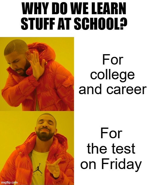 That's literally what happens in school, am I right? |  WHY DO WE LEARN STUFF AT SCHOOL? | image tagged in drake hotline bling | made w/ Imgflip meme maker