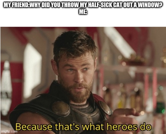 don't trust me with cats | MY FRIEND:WHY DID YOU THROW MY HALF-SICK CAT OUT A WINDOW?
ME: | image tagged in that s what heroes do | made w/ Imgflip meme maker