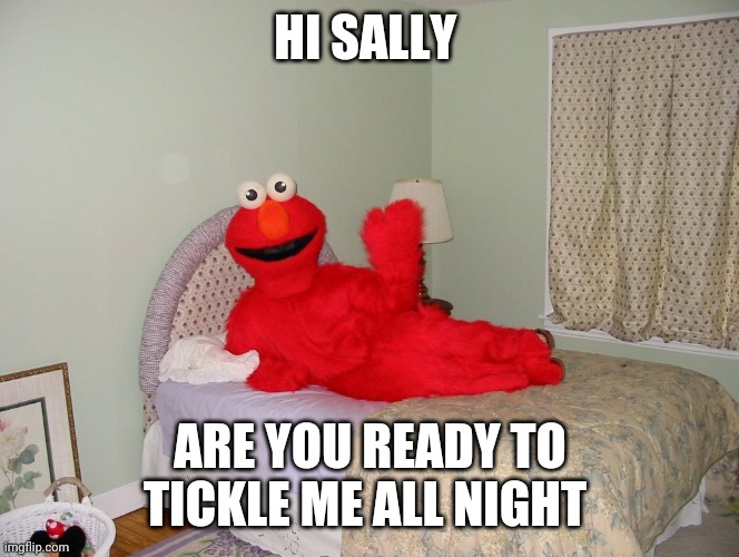 HI SALLY; ARE YOU READY TO TICKLE ME ALL NIGHT | image tagged in creepy elmo | made w/ Imgflip meme maker