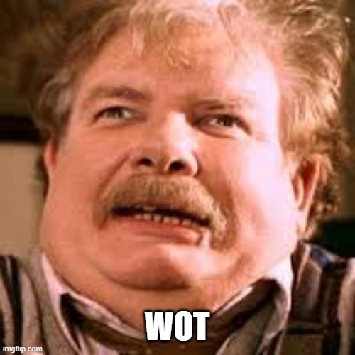 you wot?! | WOT | image tagged in you wot | made w/ Imgflip meme maker