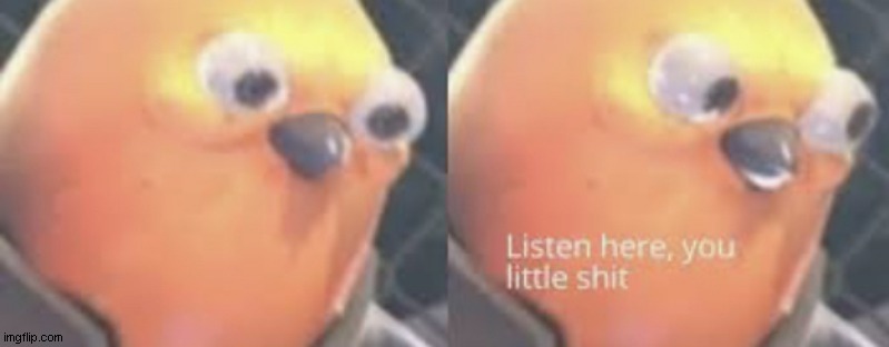 Listen here you little shit bird | image tagged in listen here you little shit bird | made w/ Imgflip meme maker