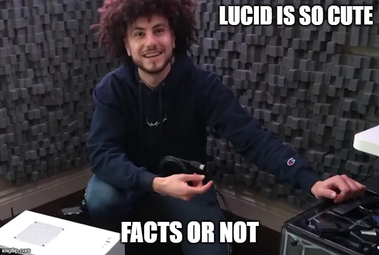 Is Lucid Cute? | LUCID IS SO CUTE; FACTS OR NOT | image tagged in cute,lucid,iamlucid,youtube,youtuber,memes | made w/ Imgflip meme maker