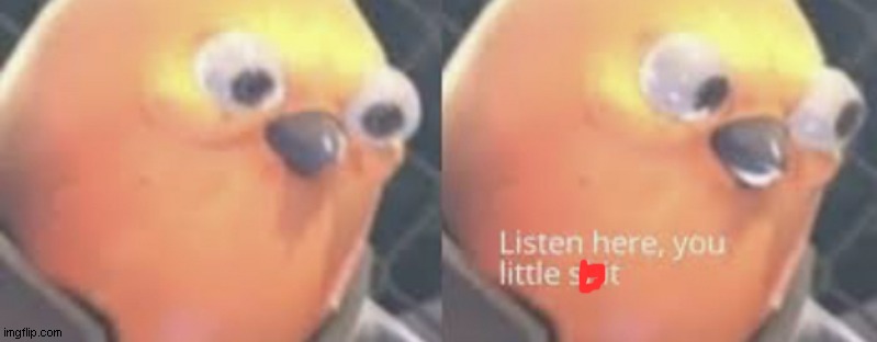 Listen here you little shit bird | image tagged in listen here you little shit bird | made w/ Imgflip meme maker