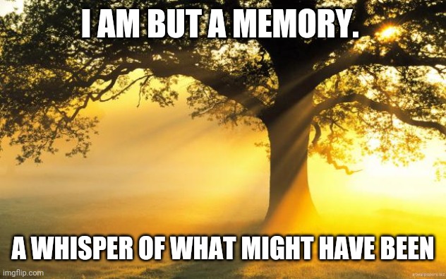 nature | I AM BUT A MEMORY. A WHISPER OF WHAT MIGHT HAVE BEEN | image tagged in nature | made w/ Imgflip meme maker