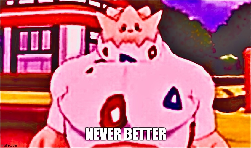 Tokipi | NEVER BETTER | image tagged in tokipi | made w/ Imgflip meme maker