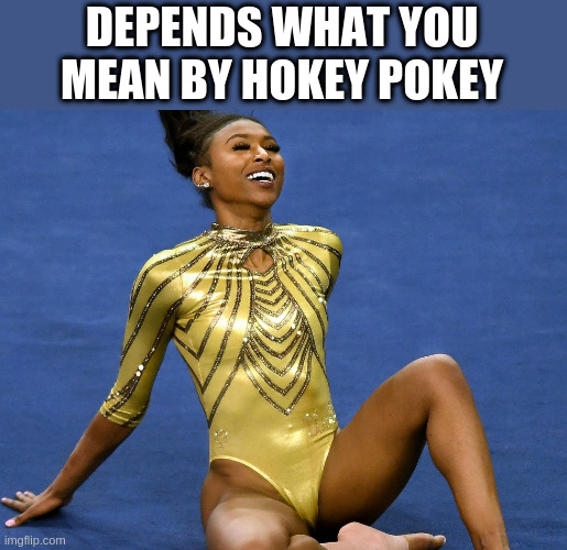 DEPENDS WHAT YOU MEAN BY HOKEY POKEY | image tagged in snatchtastica | made w/ Imgflip meme maker