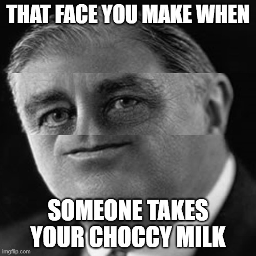 Don't take my choccy milk! | THAT FACE YOU MAKE WHEN; SOMEONE TAKES YOUR CHOCCY MILK | image tagged in squished fdr,memes,fdr | made w/ Imgflip meme maker
