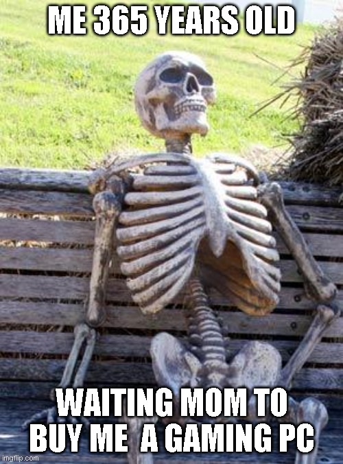 :( | ME 365 YEARS OLD; WAITING MOM TO BUY ME  A GAMING PC | image tagged in memes,waiting skeleton | made w/ Imgflip meme maker