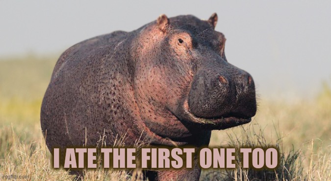 Hippo | I ATE THE FIRST ONE TOO | image tagged in hippo | made w/ Imgflip meme maker
