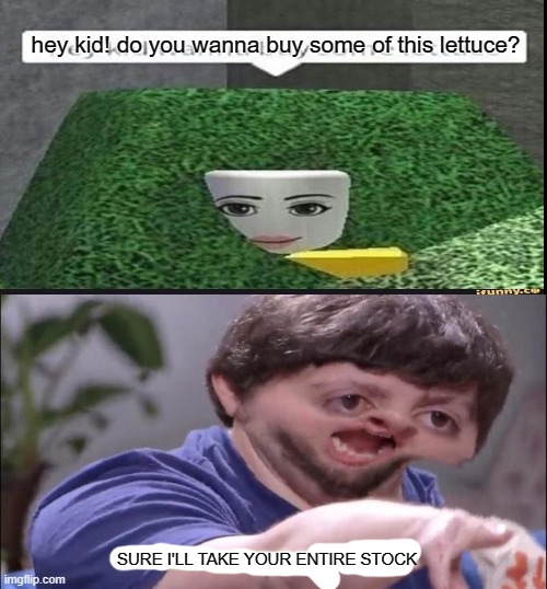 hEy wAnNa bUy sOmE LeTtUcE |  hey kid! do you wanna buy some of this lettuce? SURE I'LL TAKE YOUR ENTIRE STOCK | image tagged in i'll take your entire stock | made w/ Imgflip meme maker