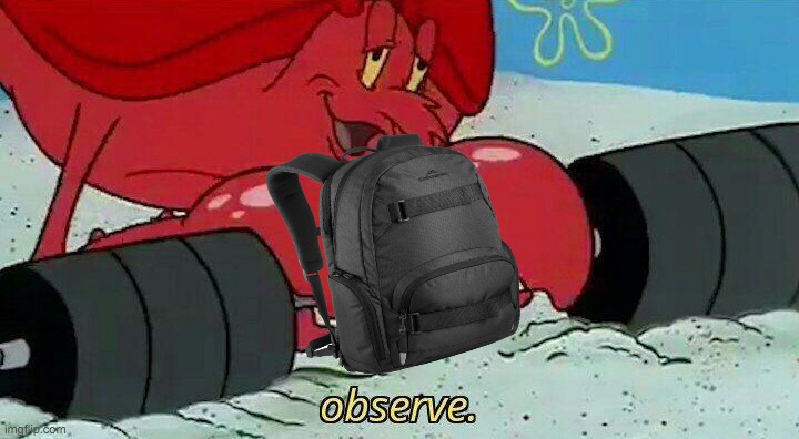 Observe | image tagged in observe | made w/ Imgflip meme maker