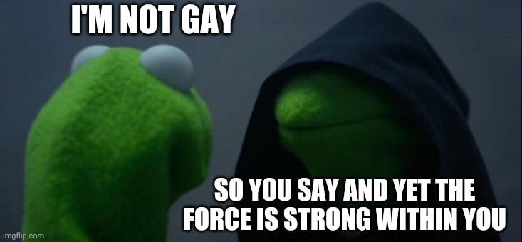 Evil Kermit | I'M NOT GAY; SO YOU SAY AND YET THE FORCE IS STRONG WITHIN YOU | image tagged in memes,evil kermit | made w/ Imgflip meme maker