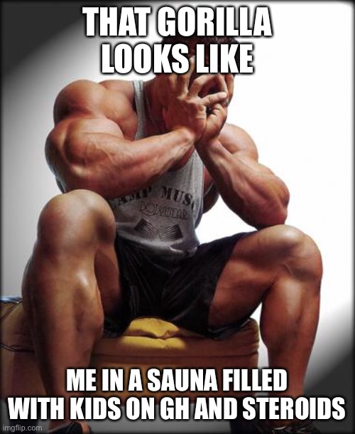 Depressed Bodybuilder | THAT GORILLA LOOKS LIKE ME IN A SAUNA FILLED WITH KIDS ON GH AND STEROIDS | image tagged in depressed bodybuilder | made w/ Imgflip meme maker