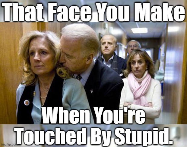"I just love the smell of Pantene in the morning" Joe Biden. | That Face You Make; When You're Touched By Stupid. | image tagged in touched by a stupid,slow biden,and now hes got dementia,not the sharpest tool in the shed,jill biden blank look | made w/ Imgflip meme maker