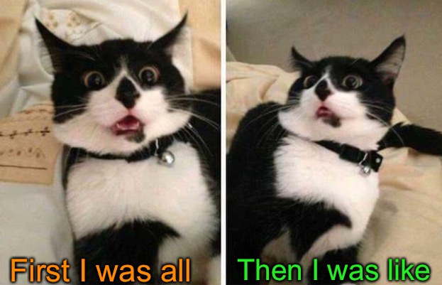 reactions of a black and white cat | First I was all Then I was like | image tagged in reactions of a black and white cat | made w/ Imgflip meme maker