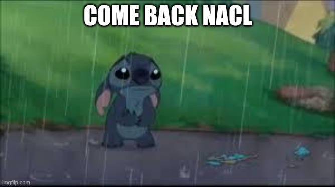 Come back.. | COME BACK NACL | image tagged in come back | made w/ Imgflip meme maker