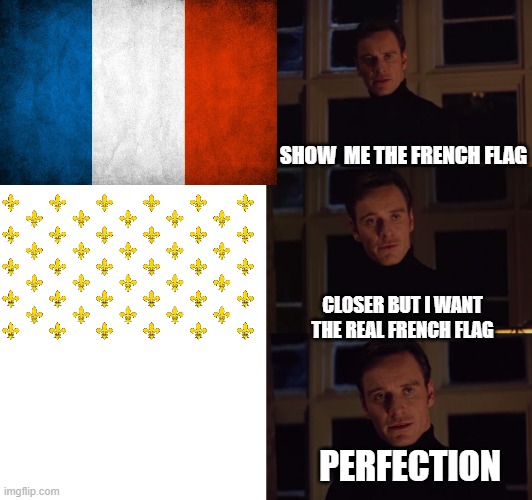 The white gets stronger | SHOW  ME THE FRENCH FLAG; CLOSER BUT I WANT THE REAL FRENCH FLAG; PERFECTION | image tagged in perfection | made w/ Imgflip meme maker
