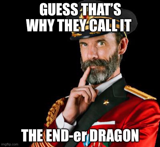 captain obvious | GUESS THAT’S WHY THEY CALL IT THE END-er DRAGON | image tagged in captain obvious | made w/ Imgflip meme maker