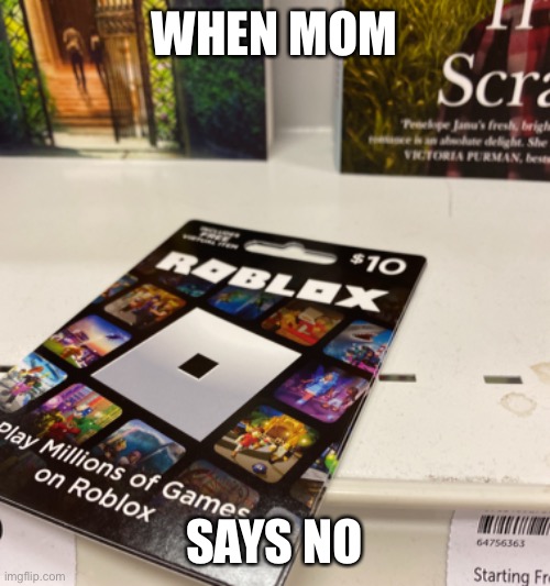 When Mom Says No | WHEN MOM; SAYS NO | image tagged in funny,relatable,memes | made w/ Imgflip meme maker