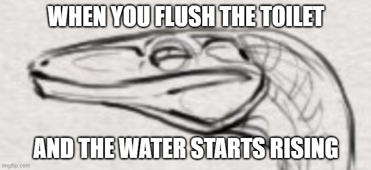 If y'all know where this is from memechat it to me and you get 750 brownie points | WHEN YOU FLUSH THE TOILET; AND THE WATER STARTS RISING | made w/ Imgflip meme maker