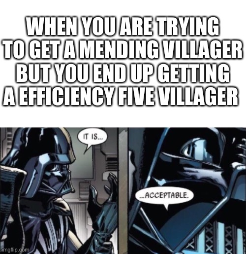 Me playing survival | WHEN YOU ARE TRYING TO GET A MENDING VILLAGER BUT YOU END UP GETTING A EFFICIENCY FIVE VILLAGER | image tagged in it is acceptable | made w/ Imgflip meme maker