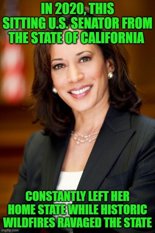 This is the logic that the left is using against Senator Cruz. | IN 2020, THIS SITTING U.S. SENATOR FROM THE STATE OF CALIFORNIA; CONSTANTLY LEFT HER HOME STATE WHILE HISTORIC WILDFIRES RAVAGED THE STATE | image tagged in kamala harris,liberal logic,hypocrisy,much ado about nothing | made w/ Imgflip meme maker