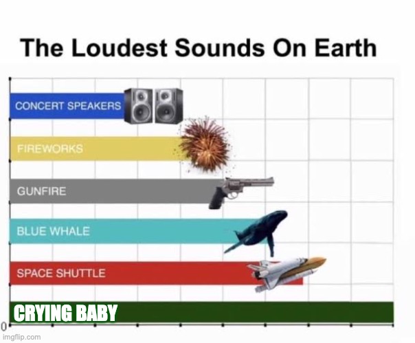 The Loudest Sounds on Earth | CRYING BABY | image tagged in the loudest sounds on earth | made w/ Imgflip meme maker