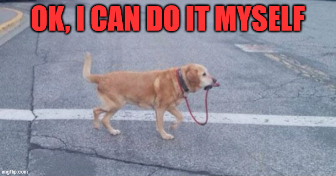 dog walking itself | OK, I CAN DO IT MYSELF | image tagged in dog walking itself | made w/ Imgflip meme maker