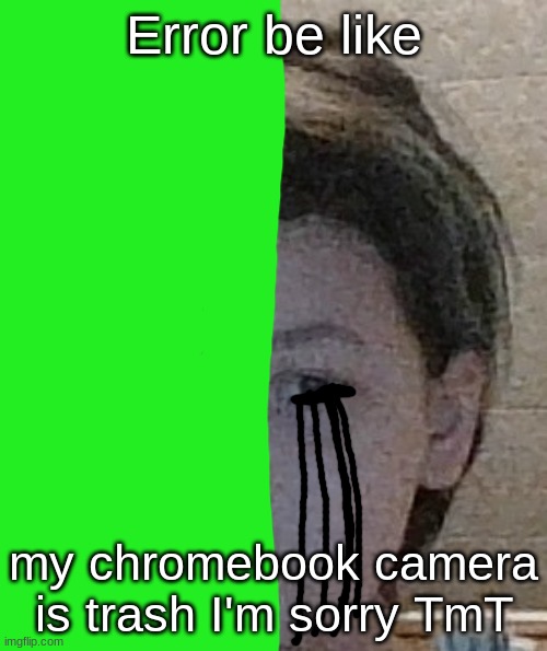 Error be like; my chromebook camera is trash I'm sorry TmT | made w/ Imgflip meme maker