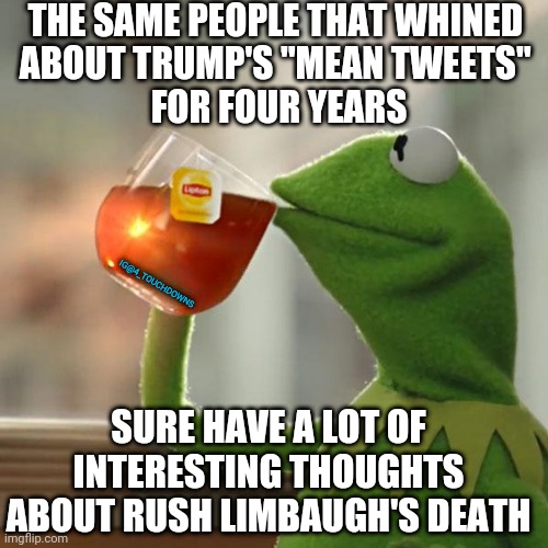 But That's None Of My Business | THE SAME PEOPLE THAT WHINED 
ABOUT TRUMP'S "MEAN TWEETS" 
FOR FOUR YEARS; IG@4_TOUCHDOWNS; SURE HAVE A LOT OF INTERESTING THOUGHTS ABOUT RUSH LIMBAUGH'S DEATH | image tagged in trump,tweets,rush limbaugh | made w/ Imgflip meme maker