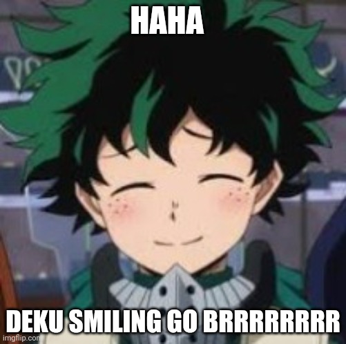 Deku smile | HAHA; DEKU SMILING GO BRRRRRRRR | image tagged in deku wholesome smile | made w/ Imgflip meme maker