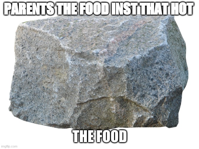 rocks are sexy | PARENTS THE FOOD INST THAT HOT; THE FOOD | image tagged in rocks | made w/ Imgflip meme maker