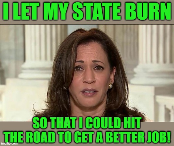 kamala harris | I LET MY STATE BURN SO THAT I COULD HIT THE ROAD TO GET A BETTER JOB! | image tagged in kamala harris | made w/ Imgflip meme maker