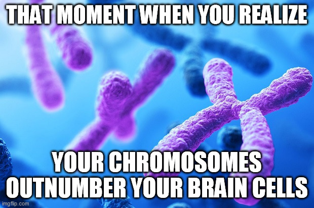 that moment when you realize chromosomes | THAT MOMENT WHEN YOU REALIZE; YOUR CHROMOSOMES OUTNUMBER YOUR BRAIN CELLS | image tagged in chromosomes,brain cells,that moment when you realize | made w/ Imgflip meme maker