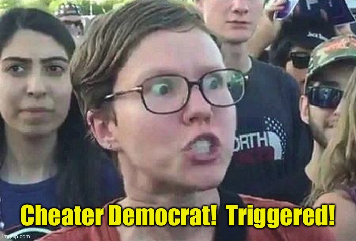 Triggered Liberal | Cheater Democrat!  Triggered! | image tagged in triggered liberal | made w/ Imgflip meme maker