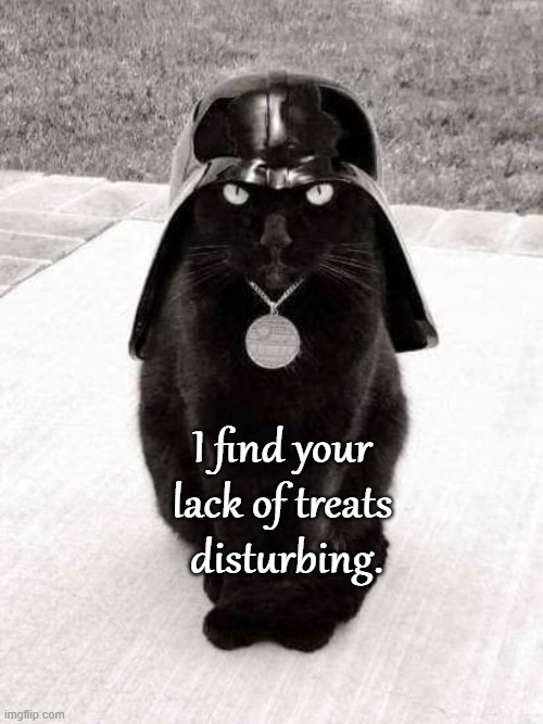 Execute Order 66 | I find your 
lack of treats 
disturbing. | image tagged in darth vader | made w/ Imgflip meme maker