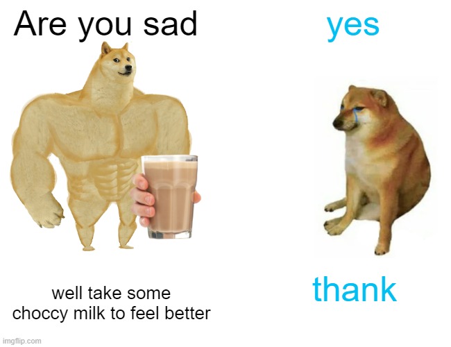 Buff Doge vs. Cheems Meme | Are you sad; yes; thank; well take some choccy milk to feel better | image tagged in memes,buff doge vs cheems | made w/ Imgflip meme maker
