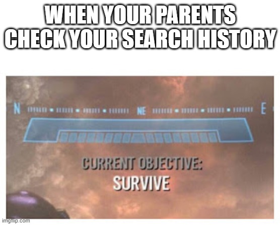 objective survive |  WHEN YOUR PARENTS CHECK YOUR SEARCH HISTORY | image tagged in current objective survive | made w/ Imgflip meme maker