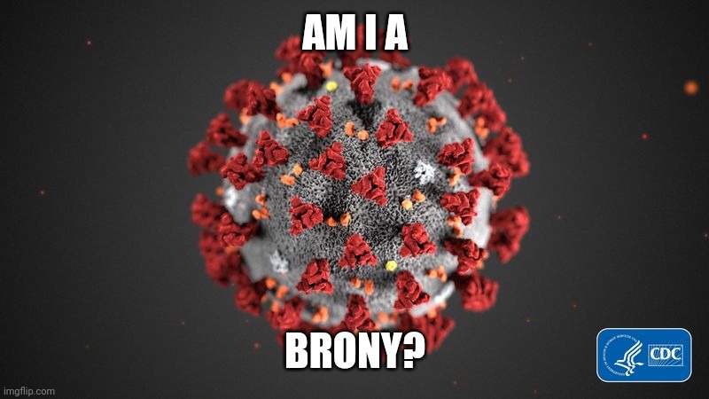 Covid is a Brony? | AM I A; BRONY? | image tagged in covid 19,corona virus,coronavirus,covid-19,covid19,brony | made w/ Imgflip meme maker