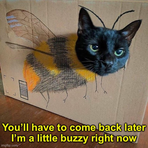 You’ll have to come back later
I’m a little buzzy right now | made w/ Imgflip meme maker