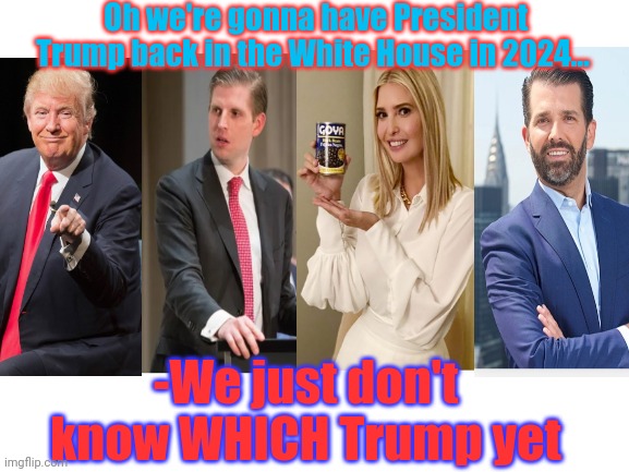 Trump for President 2024 | Oh we're gonna have President Trump back in the White House in 2024... -We just don't know WHICH Trump yet | image tagged in vote,trump | made w/ Imgflip meme maker