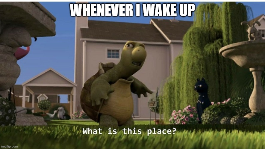 Every time i wake up | WHENEVER I WAKE UP | image tagged in what is this place | made w/ Imgflip meme maker