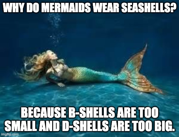 Mermaid | WHY DO MERMAIDS WEAR SEASHELLS? BECAUSE B-SHELLS ARE TOO SMALL AND D-SHELLS ARE TOO BIG. | image tagged in mermaid | made w/ Imgflip meme maker