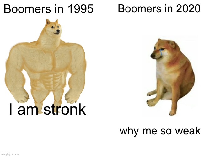 Buff cheems | Boomers in 1995; Boomers in 2020; I am stronk; why me so weak | image tagged in memes,buff doge vs cheems | made w/ Imgflip meme maker